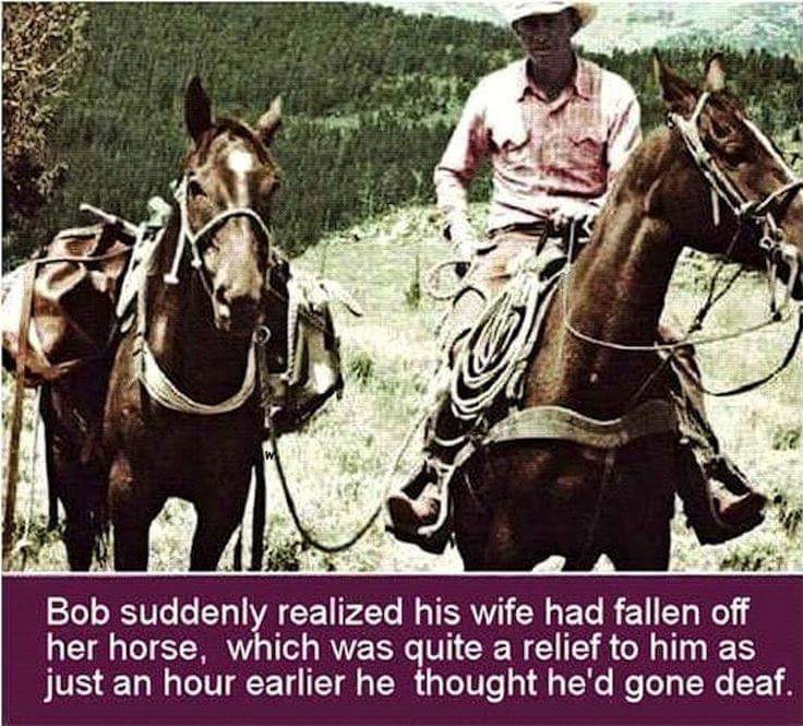 07E0CA7B 7DBD 4CD4 85F7 8541DB3BD81F