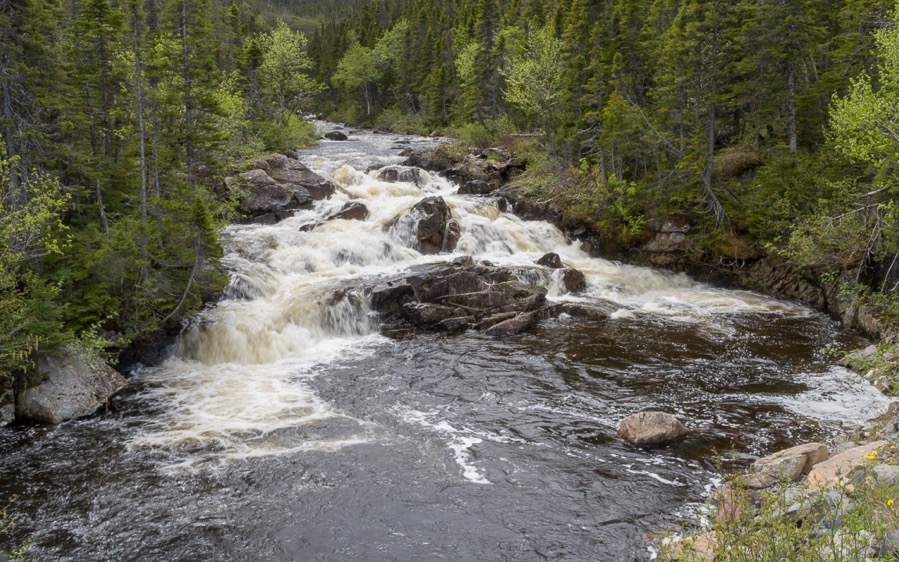 D75 2930 Luminar2018 edit