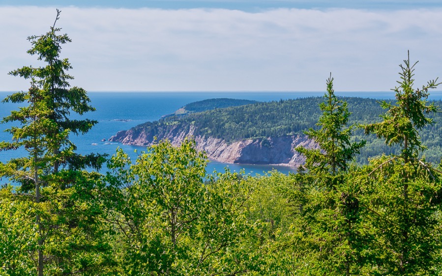 D75 3615 Luminar2018 edit