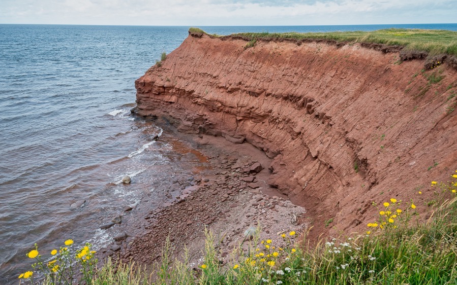 D75 3648 Luminar2018 edit