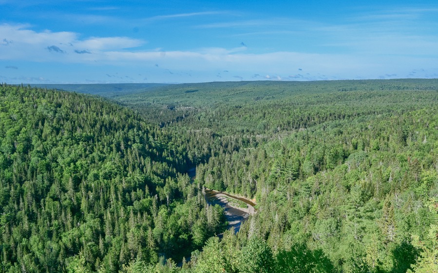 D71 7071 Edit Luminar2018 edit