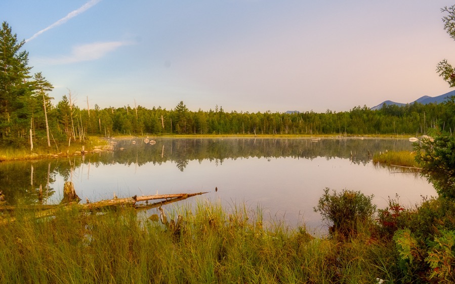 D71 7163 Luminar2018 edit 0