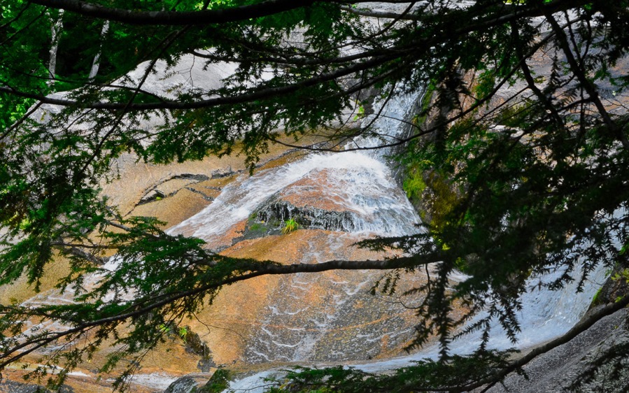 D71 7230 Luminar2018 edit