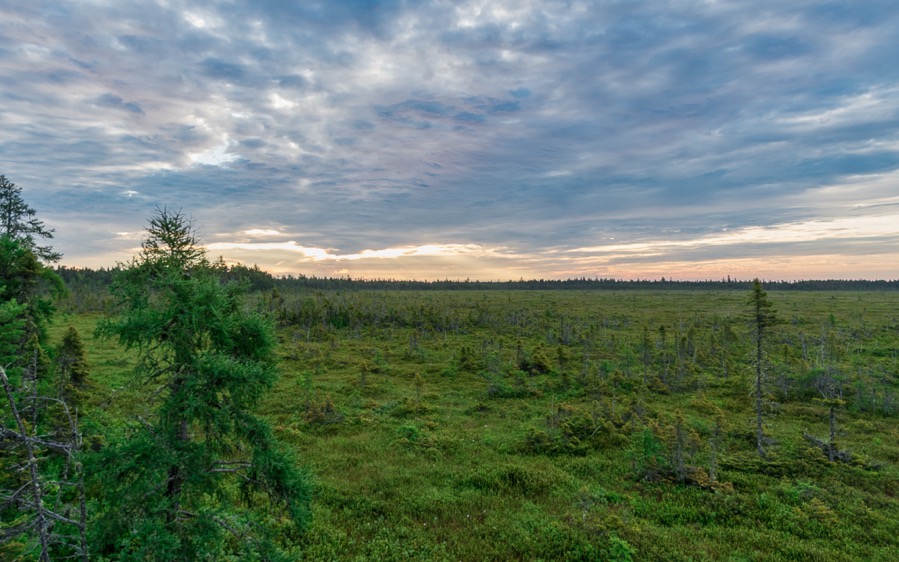 D75 3781 Luminar2018 edit