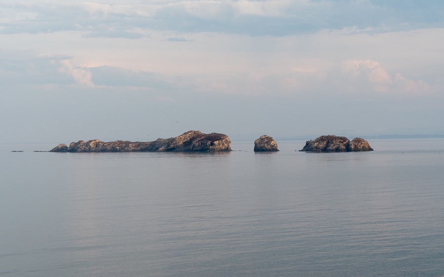 D75_3784.jpg D75 3784