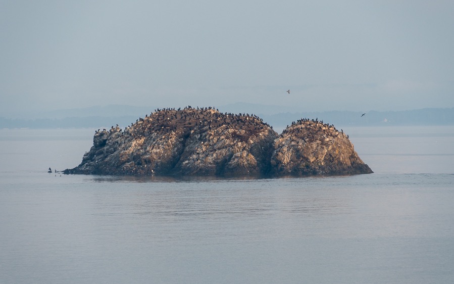 D75_3785.jpg D75 3785