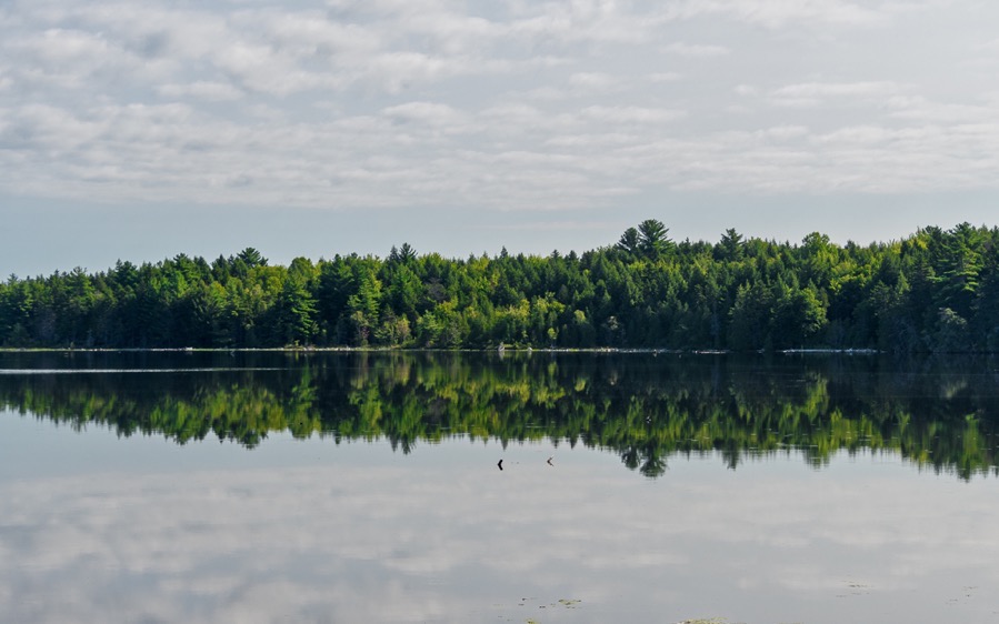 D75 3890 Luminar2018 edit