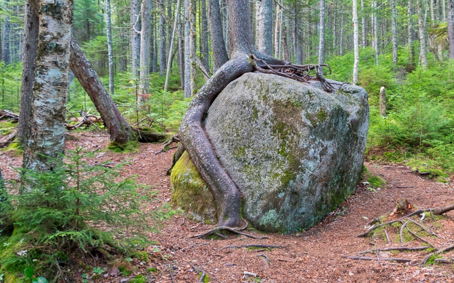 D75 3972 Luminar2018 edit