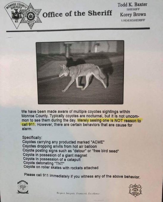 CoyoteWarning