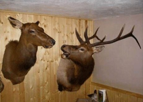 IToldYouItWasHuntingSeason