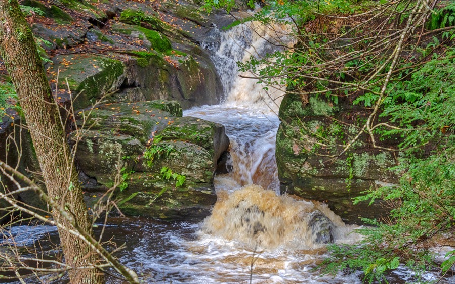 D75 5121 AuroraHDR2018 edit