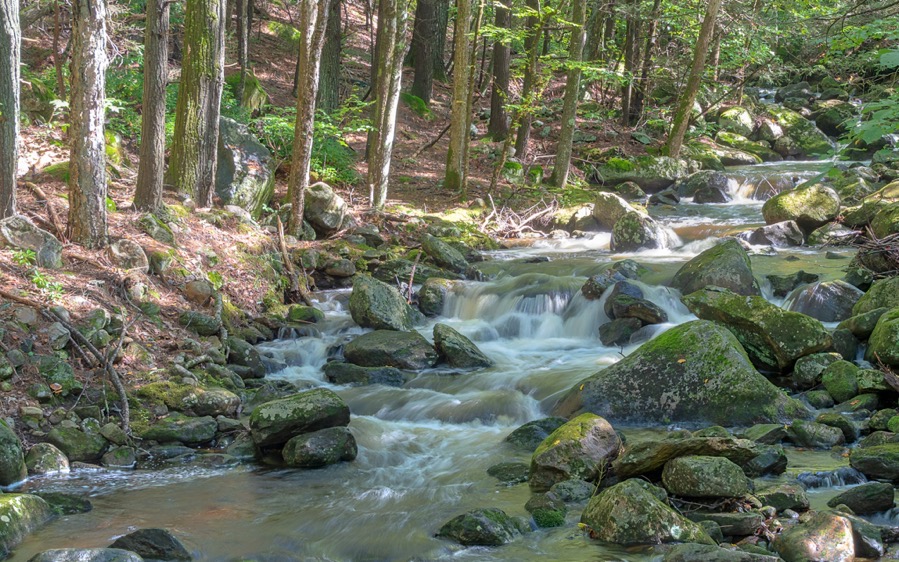 D75 5181 AuroraHDR2018 edit