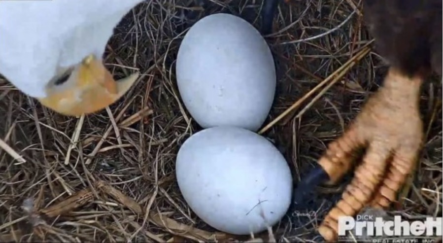 Screen Shot 2018 12 23 at 2 37 28 PM