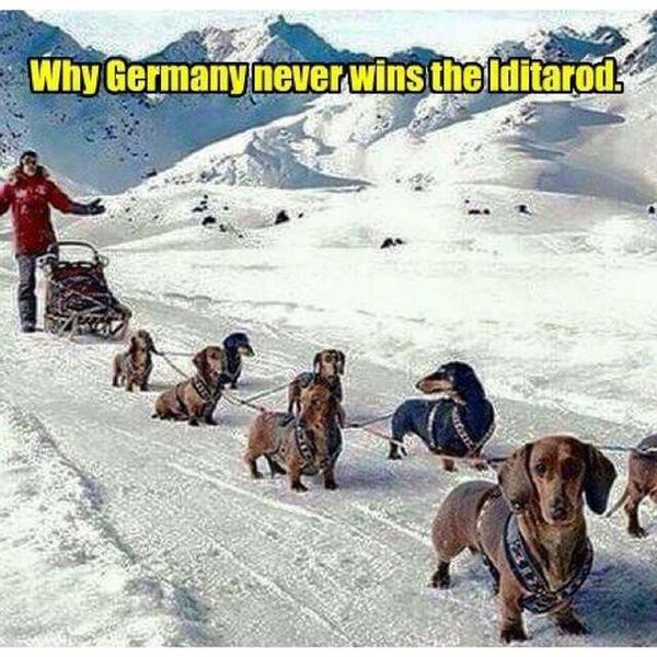 GermanyIditarod