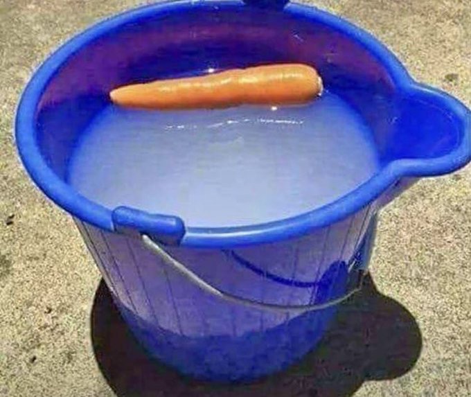 FixerUpperSnowman4Sale.jpg FixerUpperSnowman4Sale