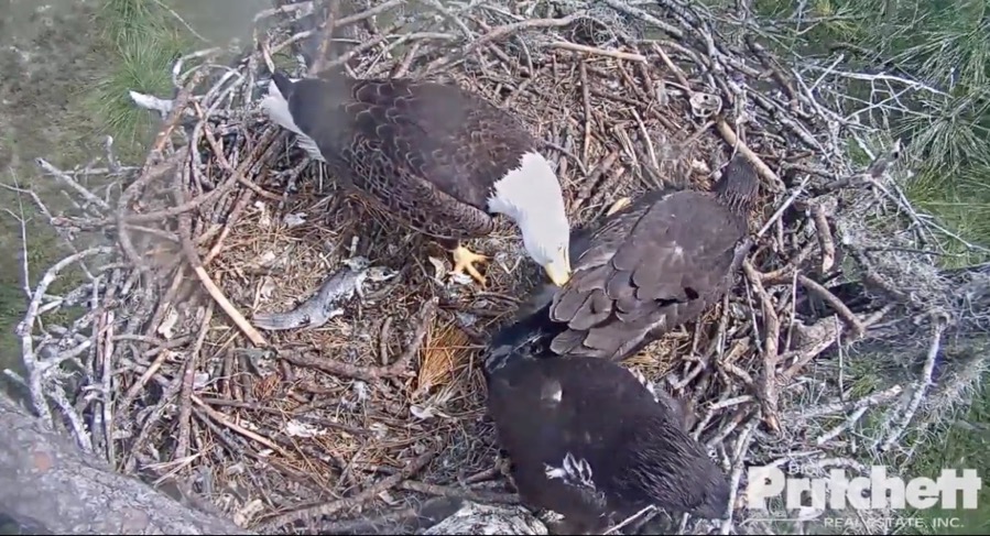 Screen Shot 2019 02 27 at 2 22 54 PM