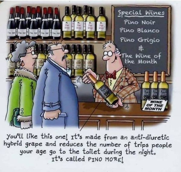 WineForOldPeople