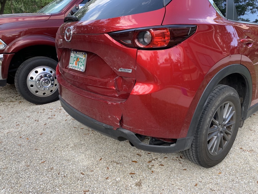 IMG_4557.jpg IMG 4557