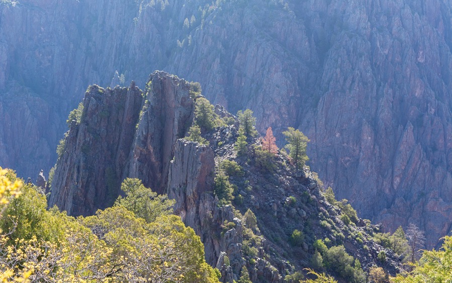 D71_7711.jpg D71 7711