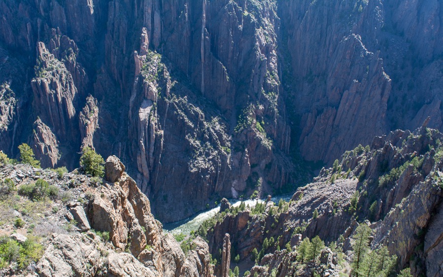 D71_7712.jpg D71 7712