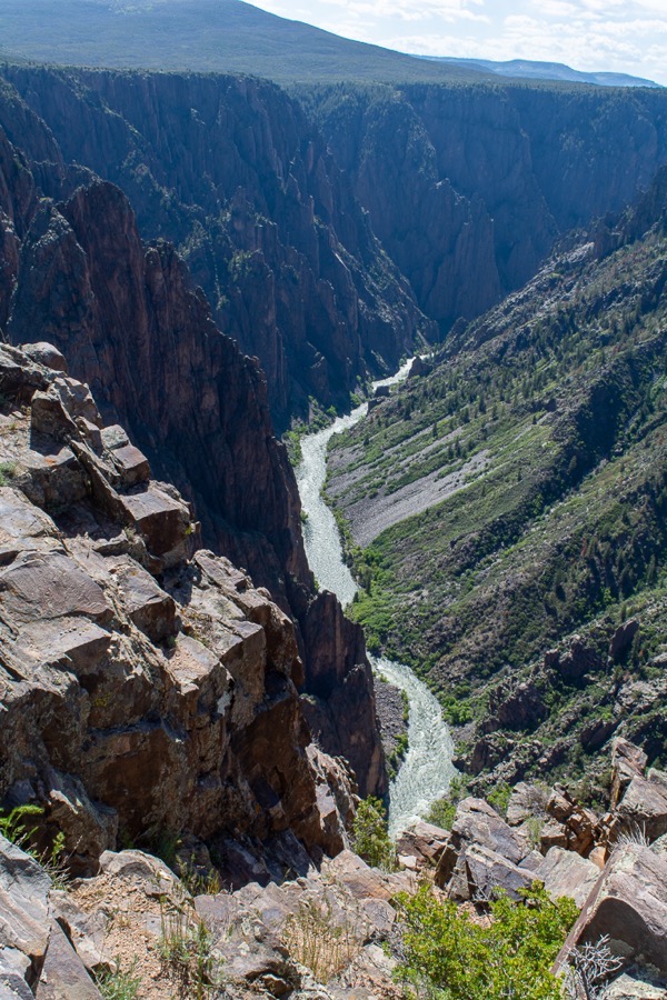 D71_7729.jpg D71 7729