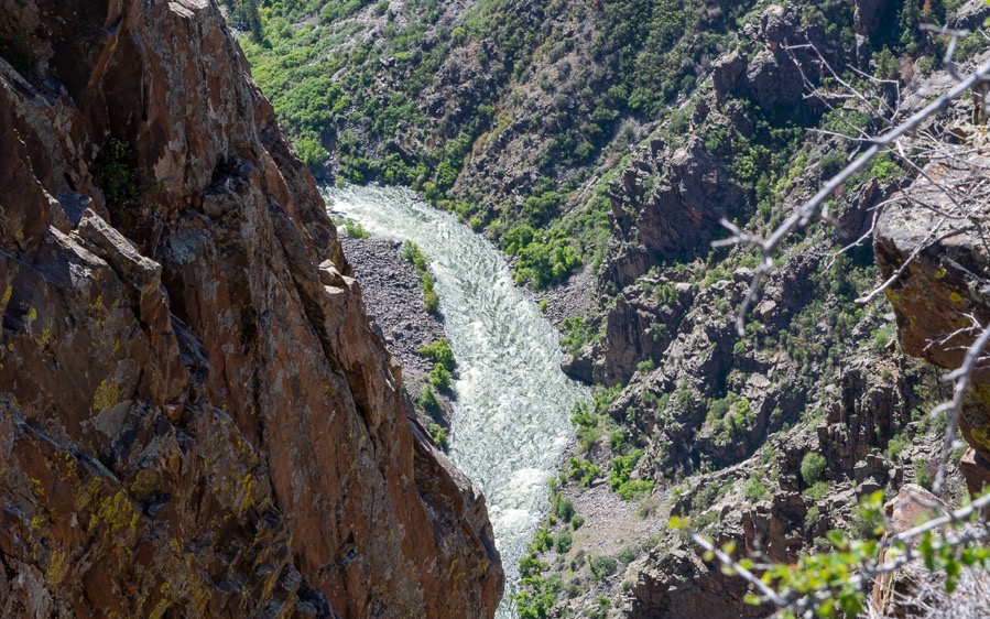 D71_7735.jpg D71 7735