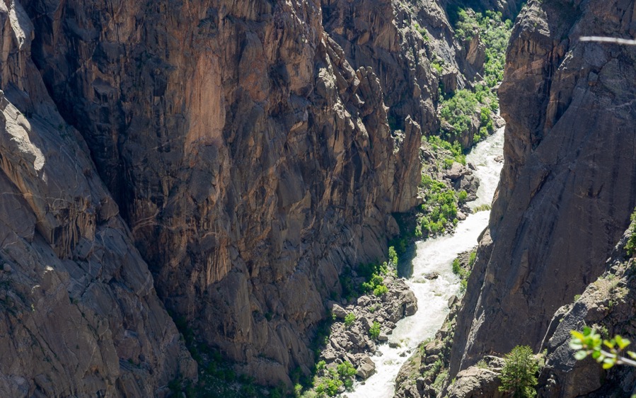 D71_7747.jpg D71 7747