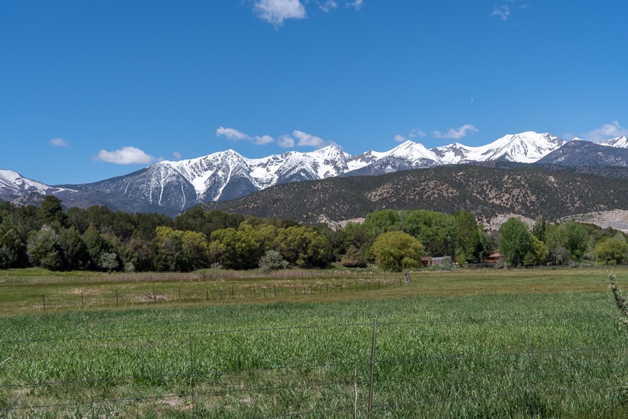 DSC_0353.jpg DSC 0353