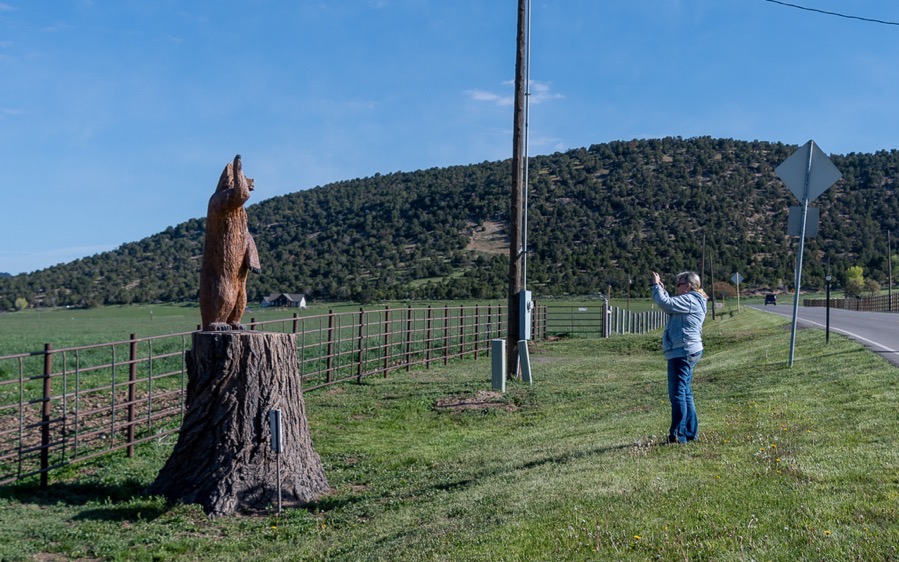 DSC_0371.jpg DSC 0371