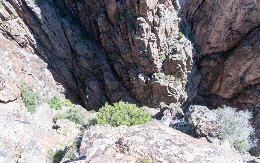 DSC_0408.jpg DSC 0408