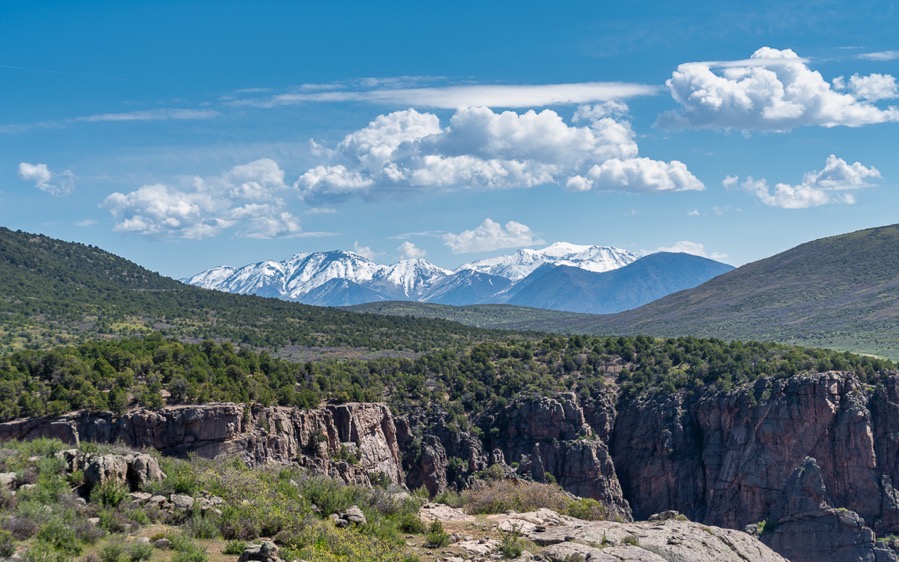 DSC_0425-Edit.jpg DSC 0425 Edit