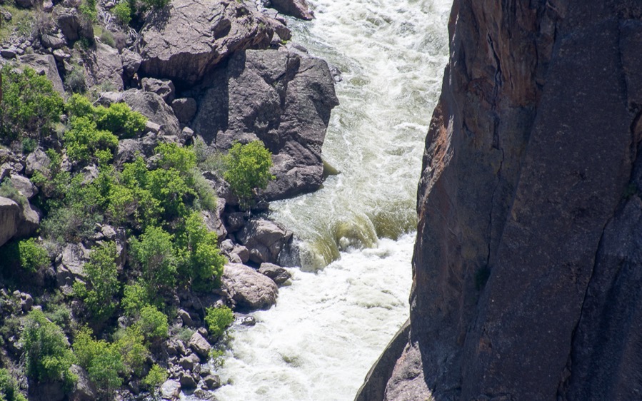 DSC_0433.jpg DSC 0433