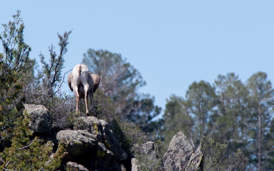 DSC_0464.jpg DSC 0464