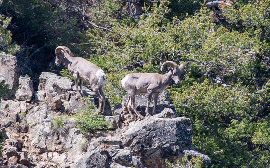 DSC_0472.jpg DSC 0472