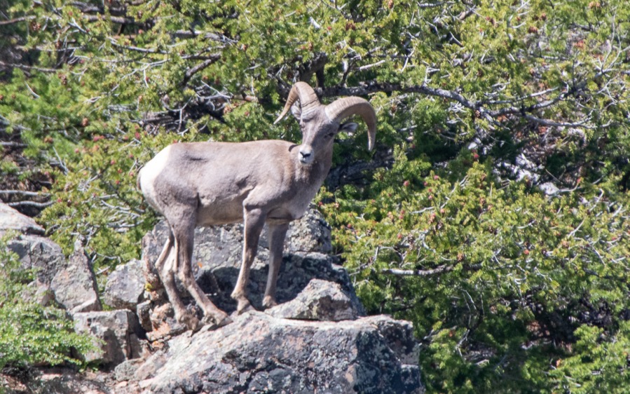 DSC_0474.jpg DSC 0474