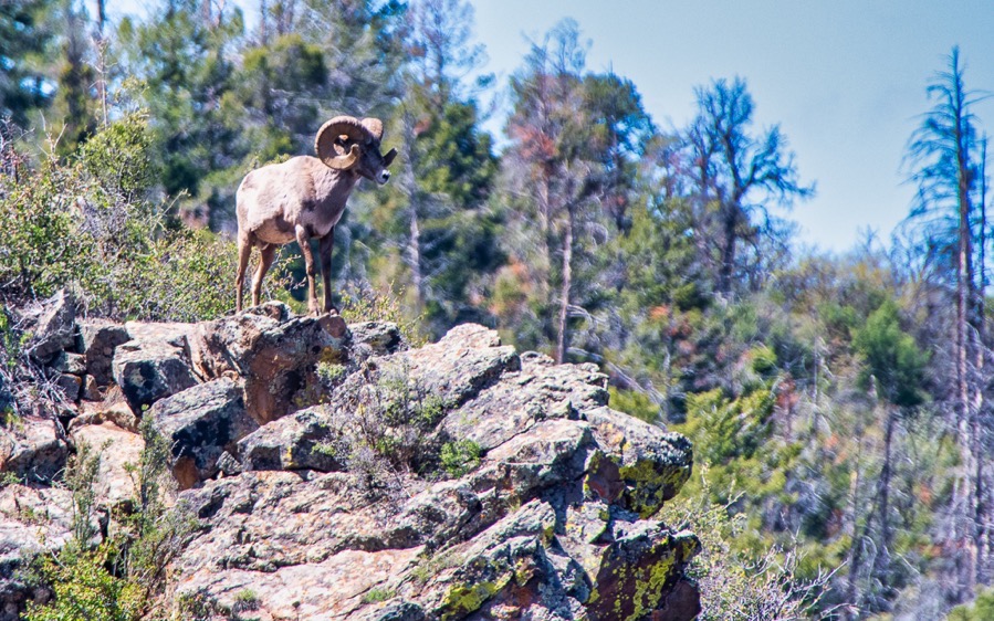 DSC_0477-Edit.jpg DSC 0477 Edit