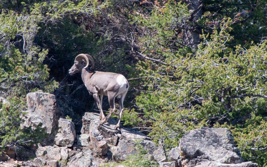 DSC_0489.jpg DSC 0489