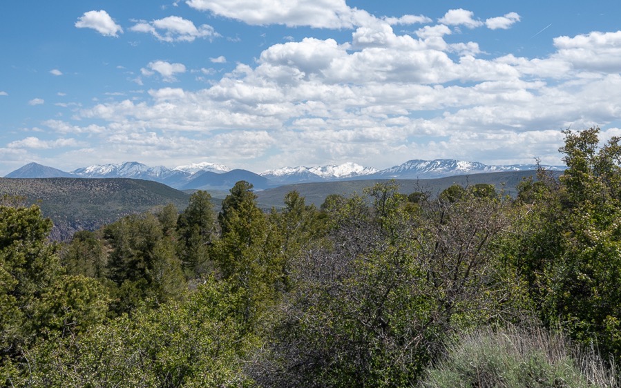 DSC_0499.jpg DSC 0499