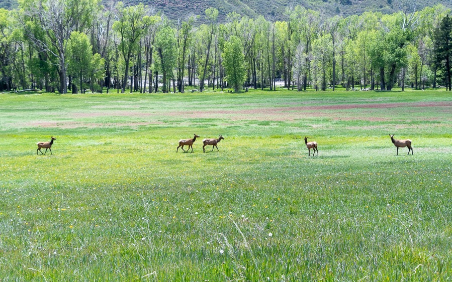 DSC_0520.jpg DSC 0520