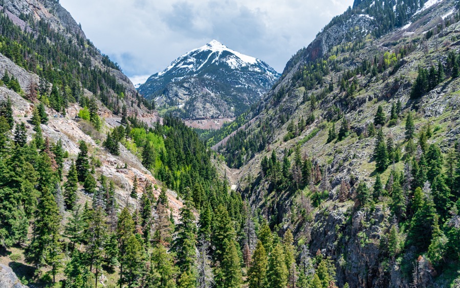 DSC_0534-Edit.jpg DSC 0534 Edit