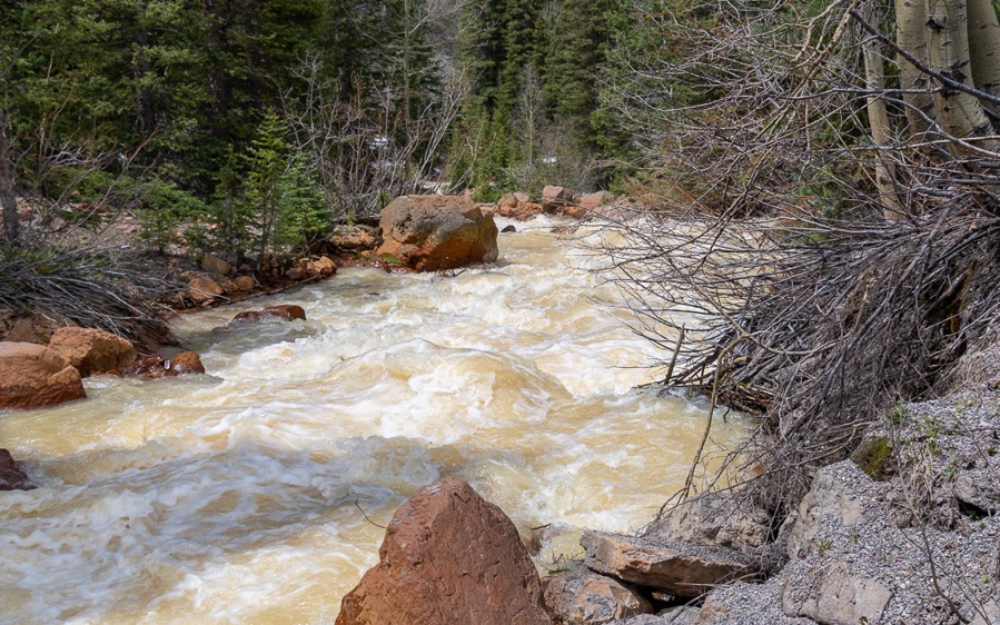 DSC_0540.jpg DSC 0540