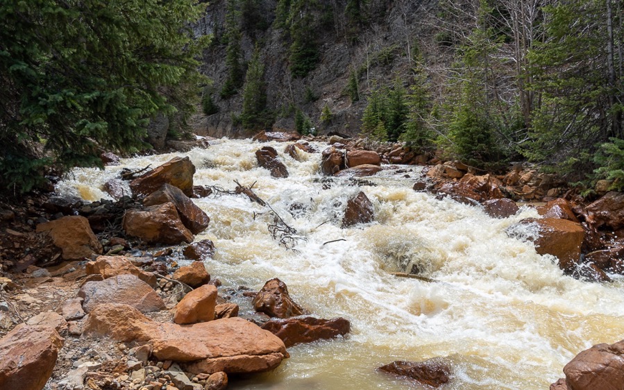 DSC_0542.jpg DSC 0542