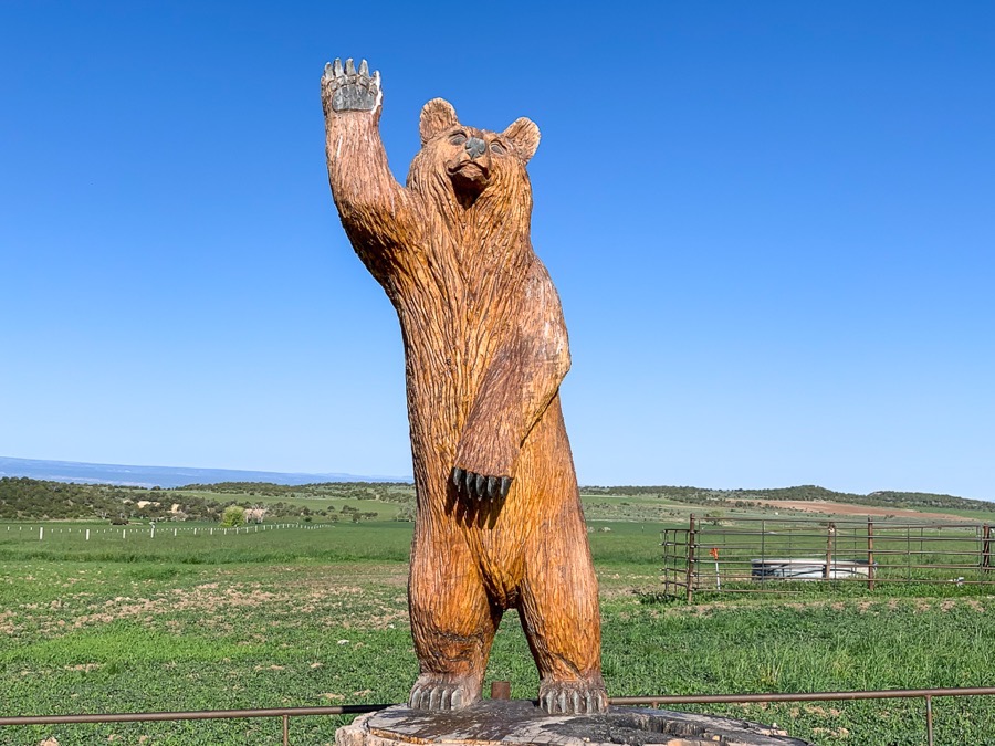 IMG_2982.jpg IMG 2982