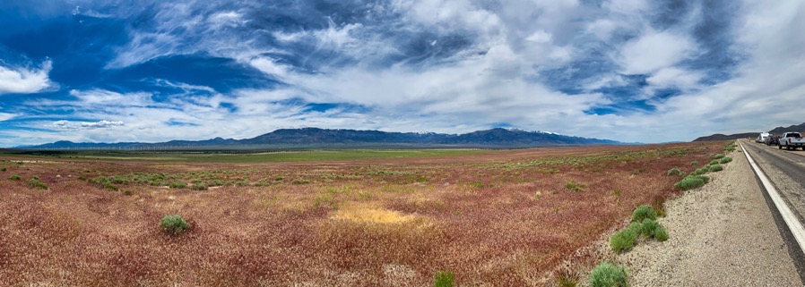 IMG 3132 Luminar3 edit