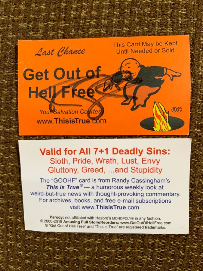 IMG_3479.jpg IMG 3479