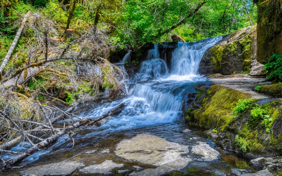 DSC 1381 AuroraHDR2019 edit Edit