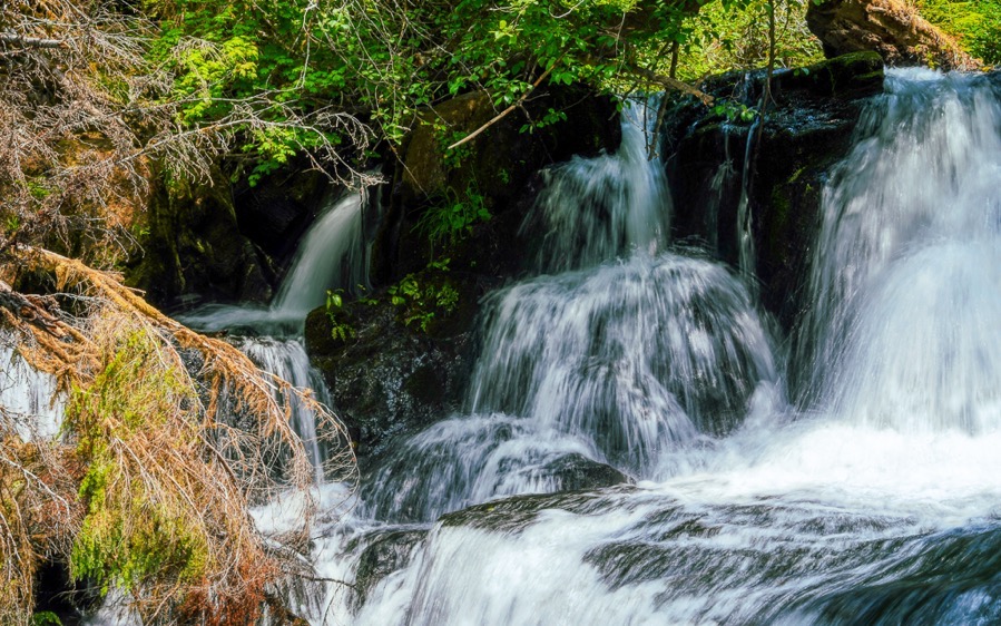 DSC 1396 AuroraHDR2019 edit