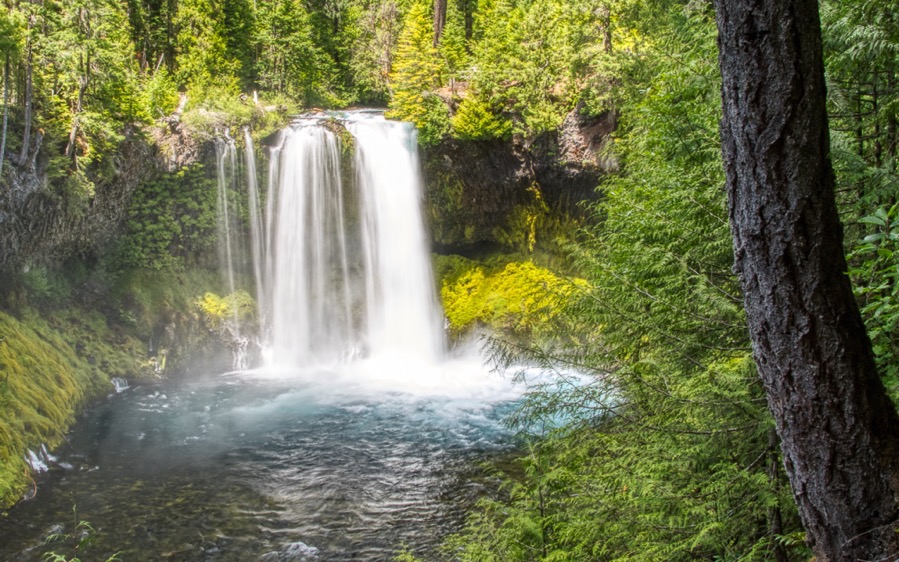 DSC 1473 AuroraHDR2019 edit