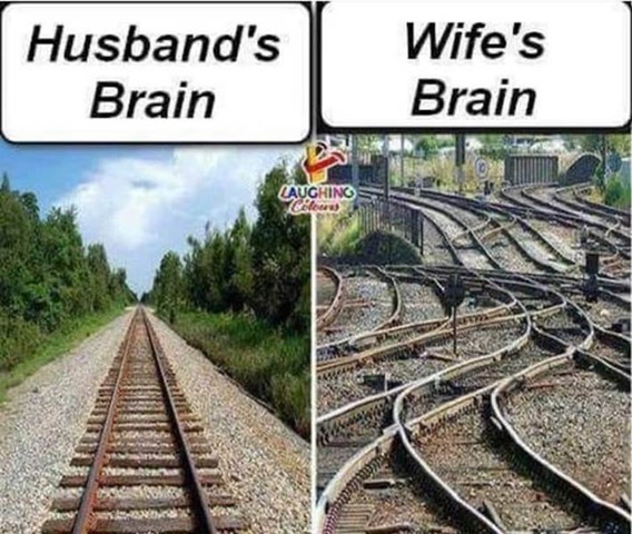 HusbandWifeBrains