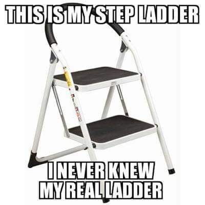 StepLadder2